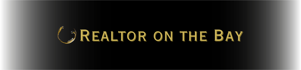 Logo Footer ROB-Degradado